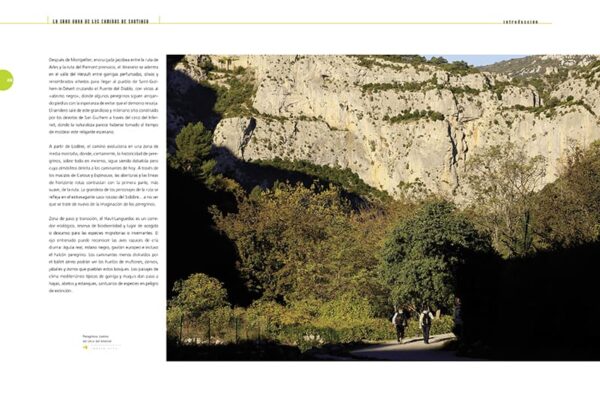 INTERIOR CAMINO DE ARLES1 600x409 - La Gran Obra de los Caminos de Santiago-El Camino de Arles (VOLUMEN XX)