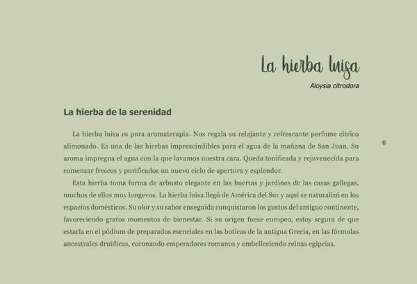 7 Hierbas mágicas - Imagen 2