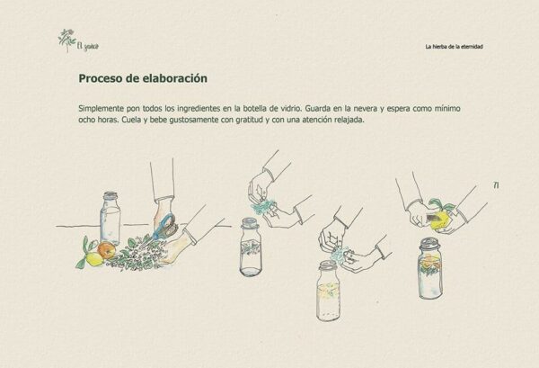 7 Hierbas mágicas - Imagen 3