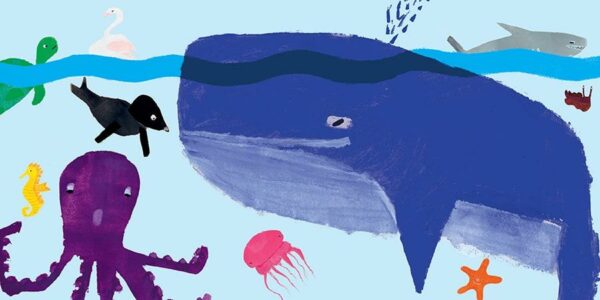 Cores no mar - Imaxe 5