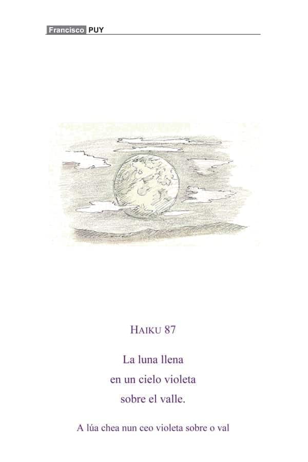 Imagen 2 haikus 1 - Haikus de Guillamonde