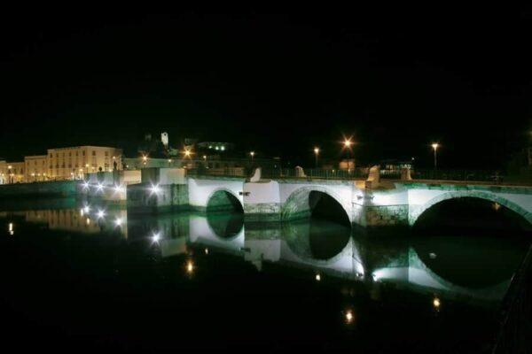 La Gran Obra de los Caminos de Santiago-Camino Portugués (VOLÚMENES IX-XI) - Imaxe 5