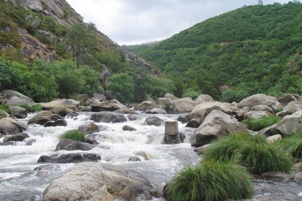 Macroinvertebrados de las aguas dulces de Galicia - Imaxe 3