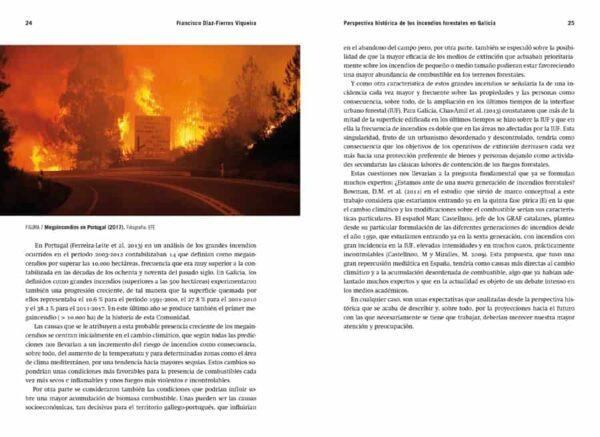 Incendios forestales. Reflexiones desde Galicia - Imaxe 2