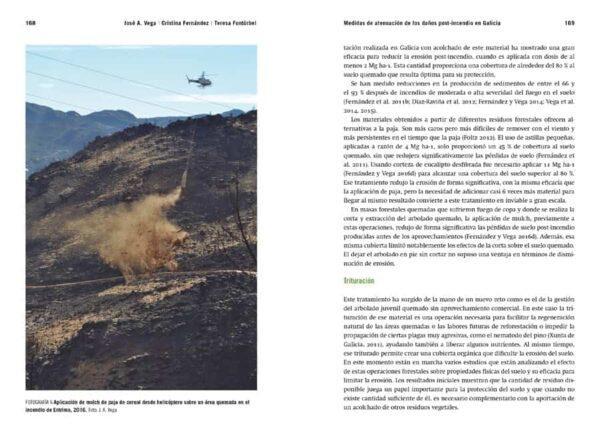 Incendios forestales. Reflexiones desde Galicia - Imaxe 4