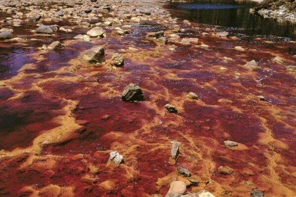 Proyecto Andalucia Ecologia 1 600x400 - Proyecto Andalucia - Ecología