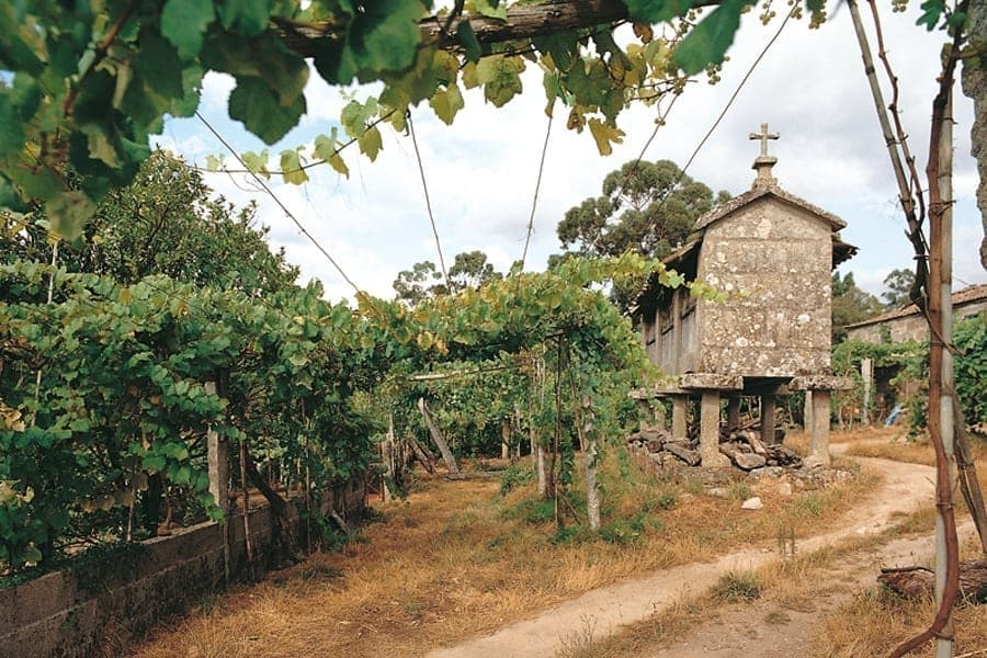 Proyecto Galicia Antropologia 4 - Antropoloxía