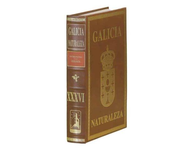 Proyecto Galicia - Naturaleza - Image 4