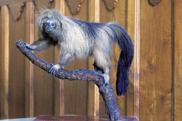 Proyecto Galicia - Naturaleza - Image 5