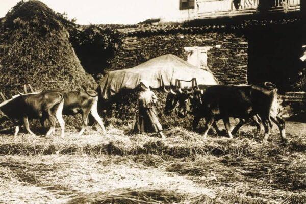 Proyecto Galicia - Historia - Image 3