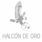halcon de oro1 150x150 - Premios