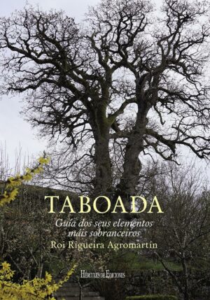 Taboada. Guía dos seus elementos máis sobranceiros