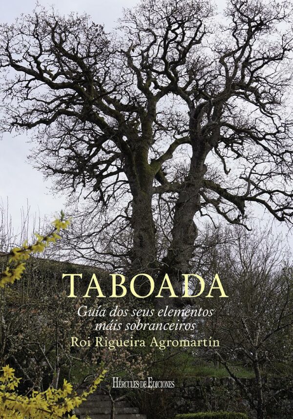 Taboada. Guía dos seus elementos máis sobranceiros