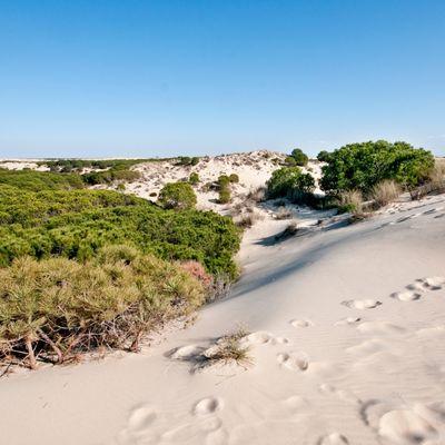 naturaleza - Proxecto Andalucía